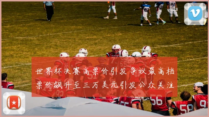 世界杯决赛高票价引发争议最高档票价飙升至三万美元引发公众关注