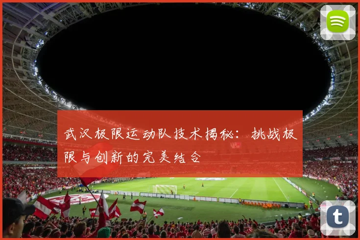 武汉极限运动队技术揭秘：挑战极限与创新的完美结合
