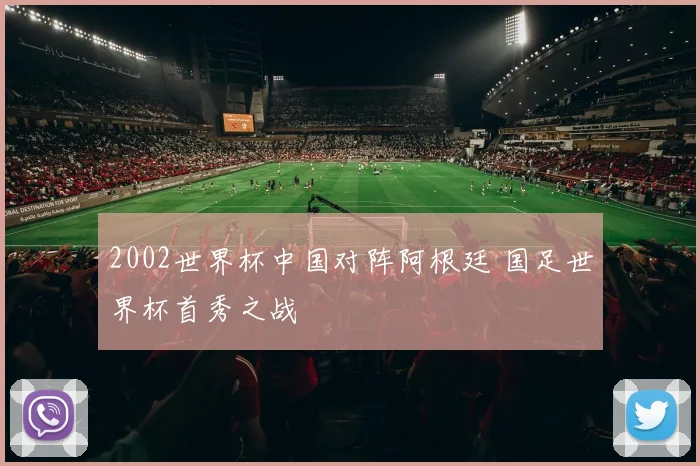 2002世界杯中国对阵阿根廷 国足世界杯首秀之战